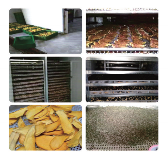 果蔬烘干案例