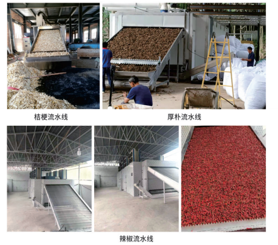 多層網帶流水線干燥